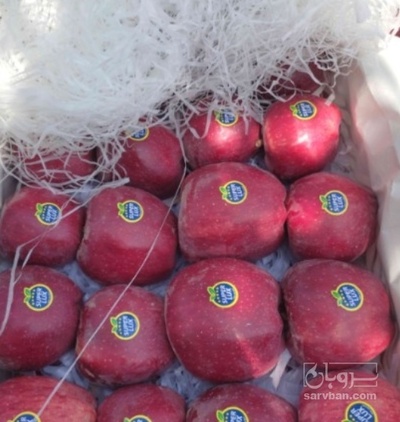 فروش سیب قرمز لبنان صادراتی