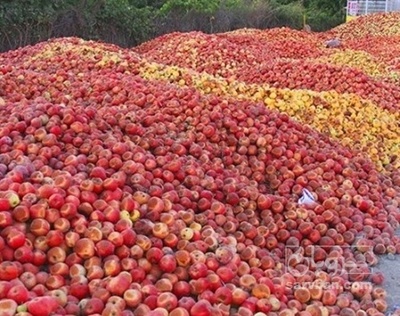 فروش سیب ضایعاتی