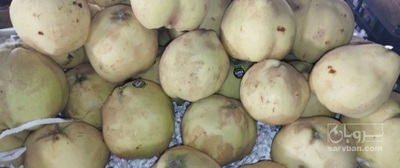 فروش به | سروبان