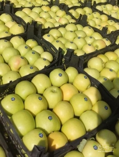 فروش سیب زرد