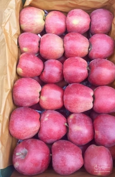 فروش سیب قرمز