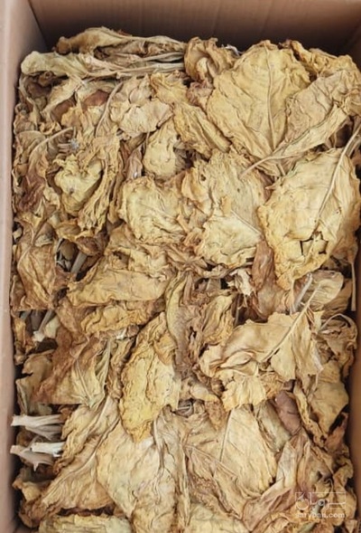 فروش تنباکو