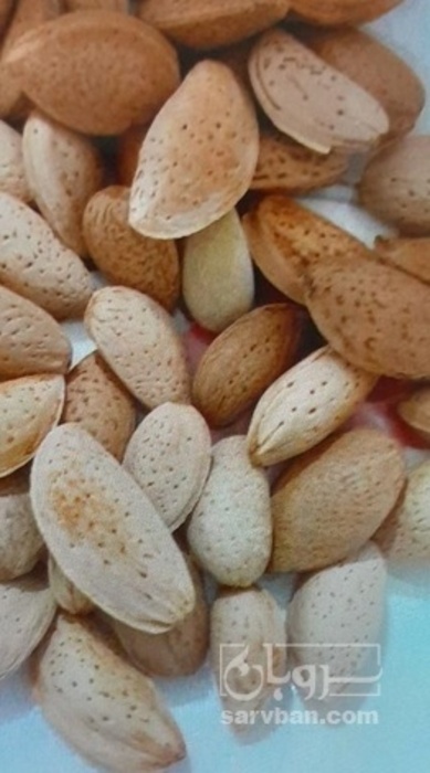 فروش بادام
