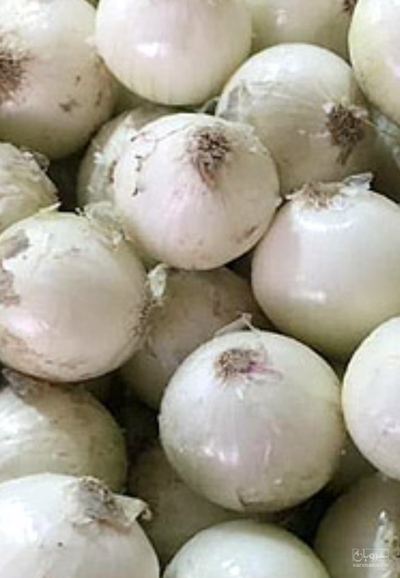 فروش پیازسفید