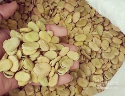 فروش باقلا تازه - باقالی - باقالا