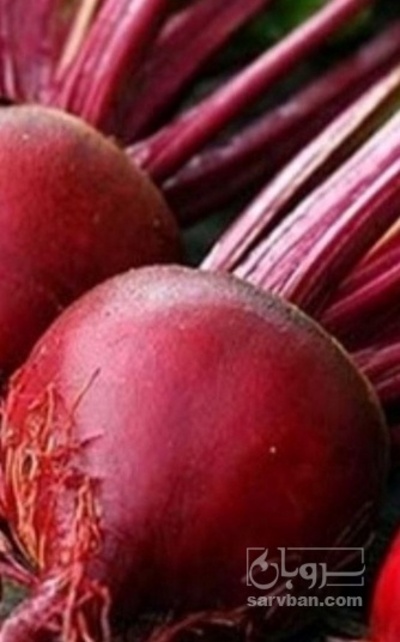 فروش چغندر لبو