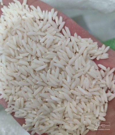 فروش برنج هاشمی