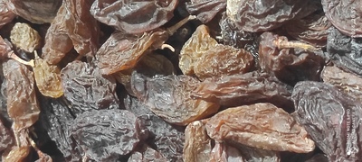 فروش مویز انگورمام برایمه