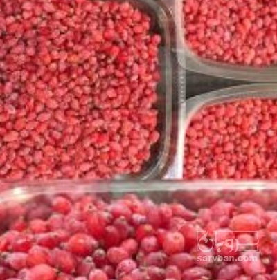 فروش زرشک منجمد