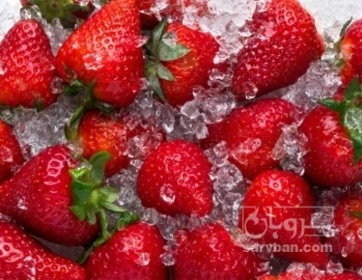 فروش توت فرنگی منجمد