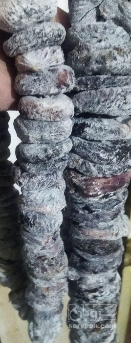 فروش انجیر خشک اردی