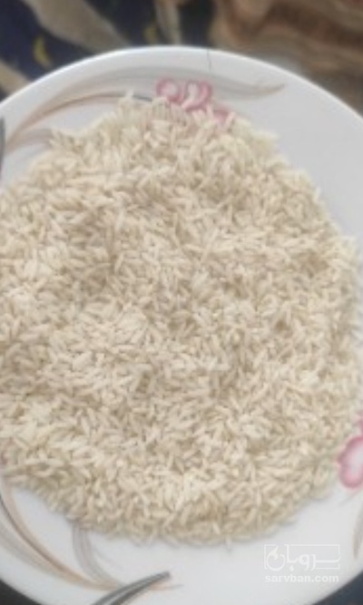 فروش برنج علی کاظمی