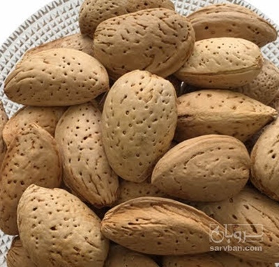 فروش بادام درختی