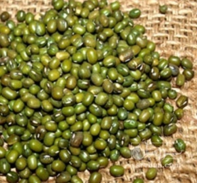 فروش ماش ریز