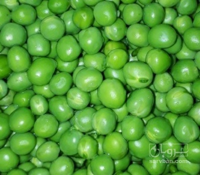 فروش نخود فرنگی