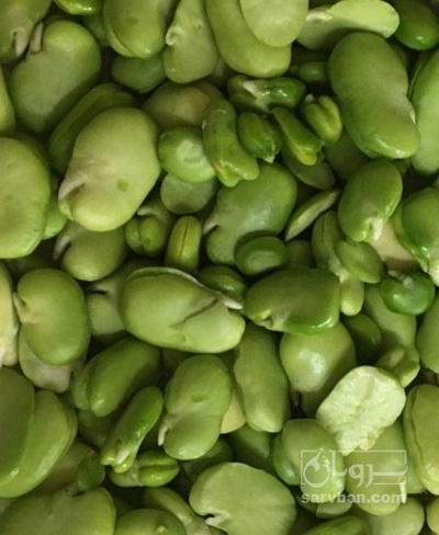 فروش باقلا تازه - باقالی - باقالا