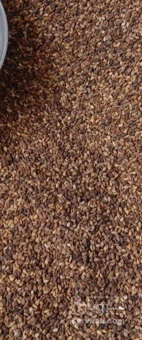 فروش کنجد قهوه ایی