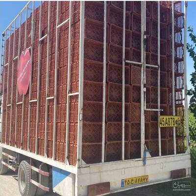 تولید سبد پلاستیکی محمدی