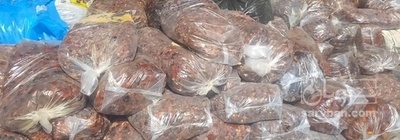 فروش خرما ضایعاتی