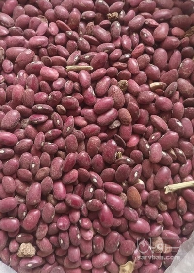 فروش لوبیا قرمز