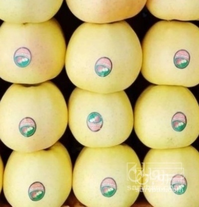 فروش سیب زرد