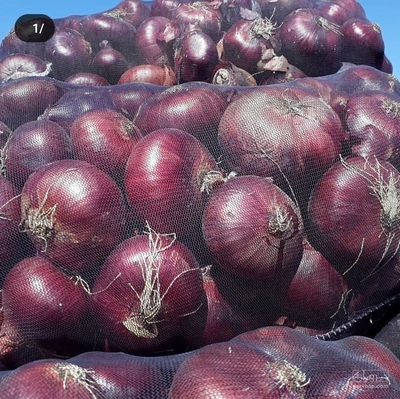 فروش پیاز قرمز