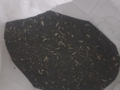 فروش ماش سیاه