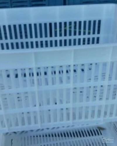 تولید سبد پلاستیکی