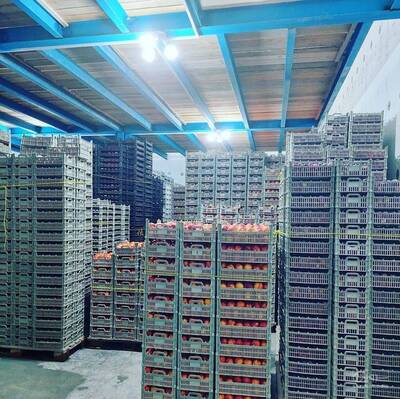 تولید سبد پلاستیکی رشید قاسم پور