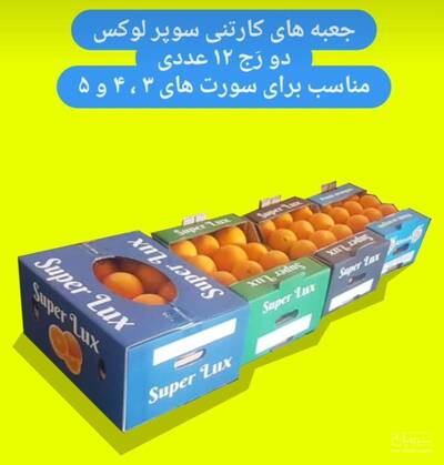 کارتن سازان ساری