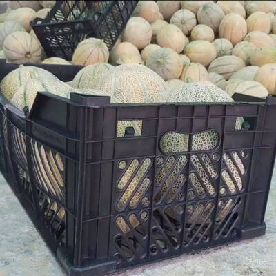 تولید سبد پلاستیکی