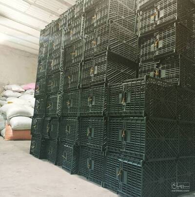 تولید سبد پلاستیکی کاولان پلاست