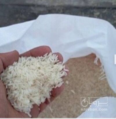 فروش برنج تایلندی