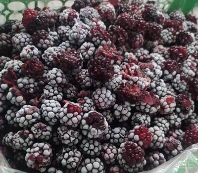 فروش تمشک