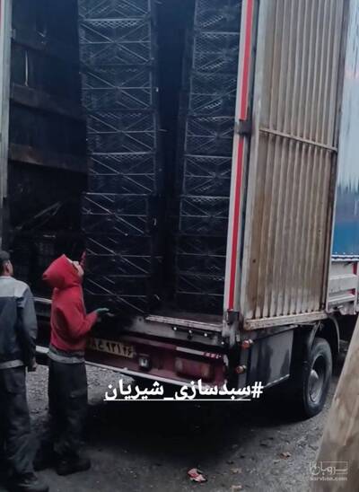 تولید سبد پلاستیکی شیریان