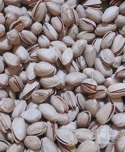 فروش پسته کله قوچی