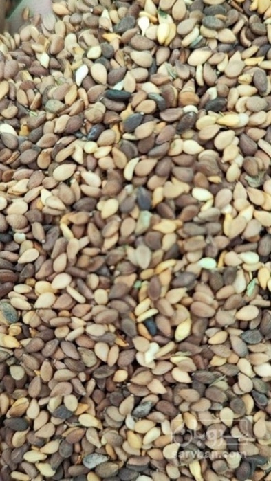 فروش کنجد قهوه ایی