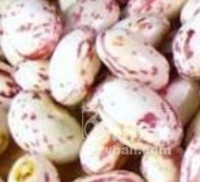 فروش لوبیا چیتی