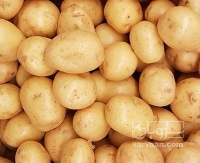 فروش سیب زمینی