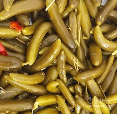 فروش خیار شور