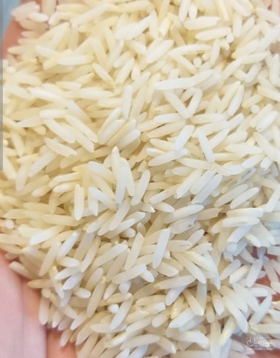 فروش برنج