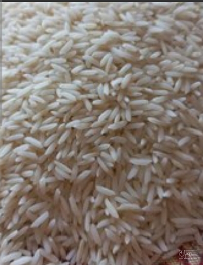 فروش برنج