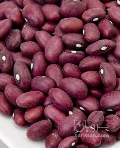 فروش لوبیا قرمز