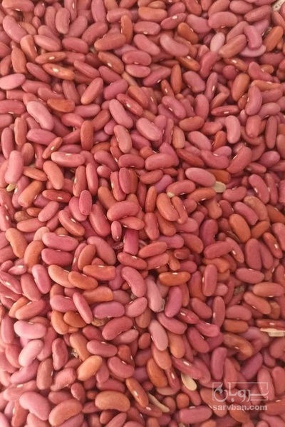فروش لوبیا قرمز قلمی