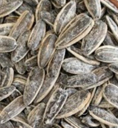 فروش تخمه آفتابگردان