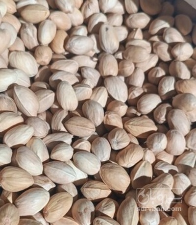 فروش پسته دهن بسته