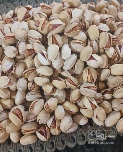 فروش پسته احمد اقایی