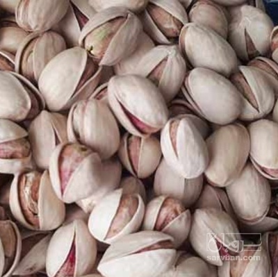 فروش پسته فندقی