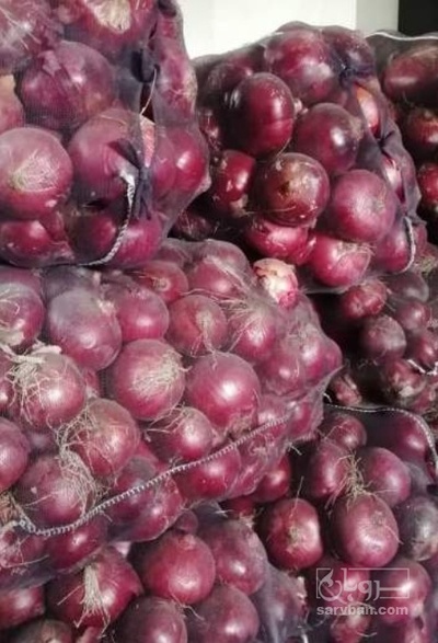 فروش پیاز قرمز