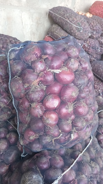 فروش پیازقرمز